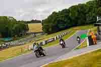 Middle Group Black Bikes